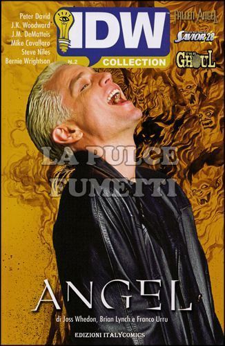 IDW COLLECTION # 2: angel after the fall 2 + fallen angel 7 + the life and times of savior 28 2 + the ghoul 2
